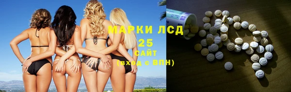 шишки Каменногорск